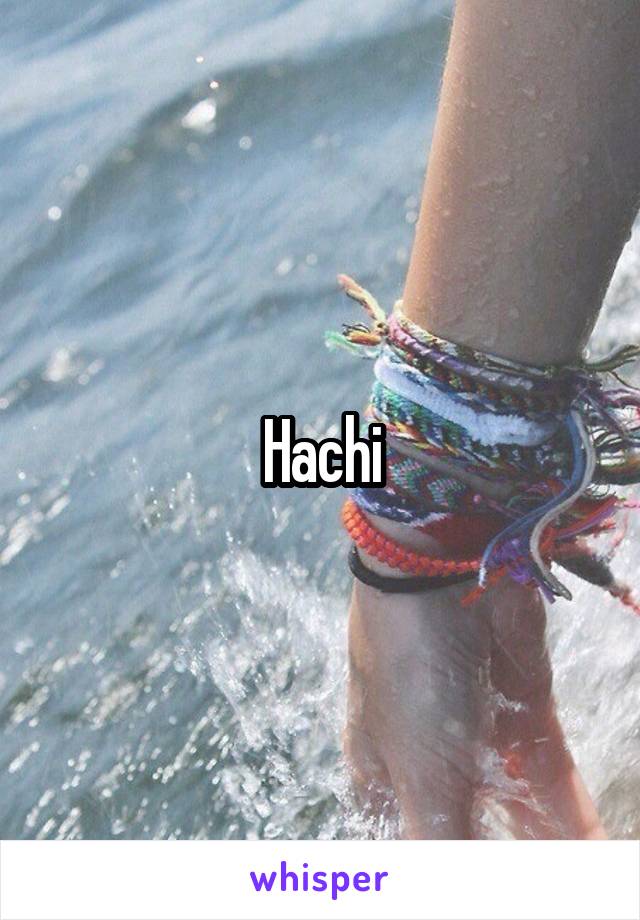 Hachi