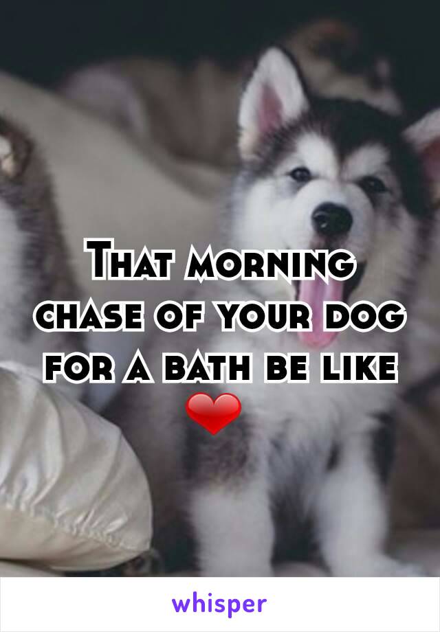 That morning chase of your dog for a bath be like ❤ 
