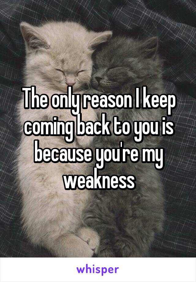 The only reason I keep coming back to you is because you're my weakness