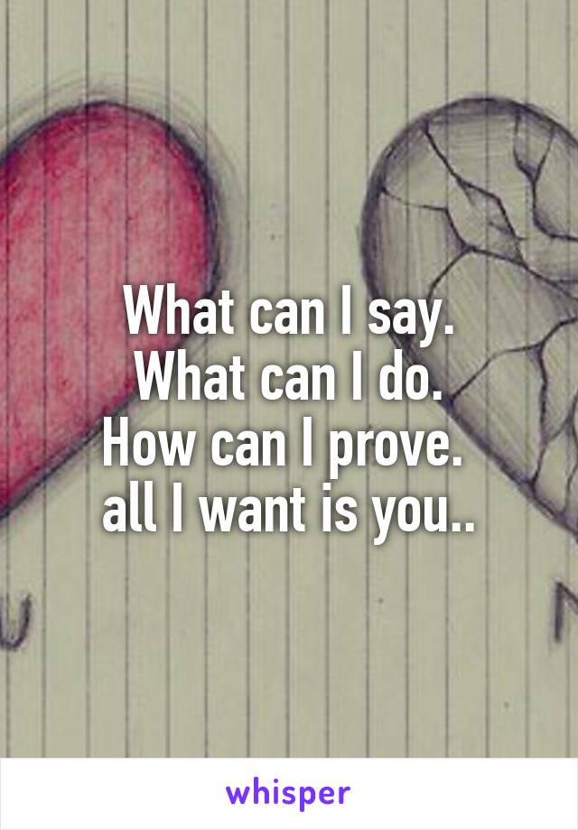 What can I say.
What can I do.
How can I prove. 
all I want is you..