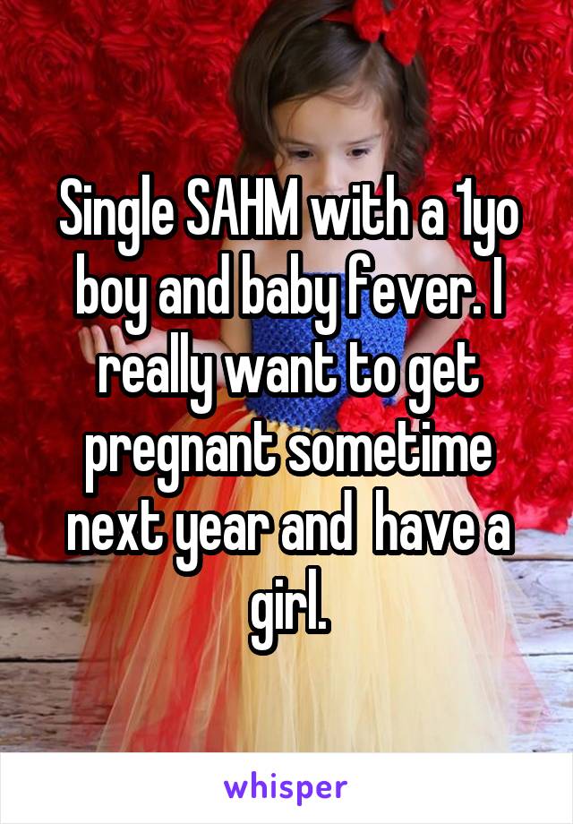 Single SAHM with a 1yo boy and baby fever. I really want to get pregnant sometime next year and  have a girl.