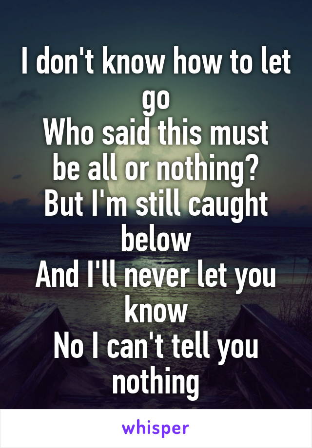 I don't know how to let go
Who said this must be all or nothing?
But I'm still caught below
And I'll never let you know
No I can't tell you nothing