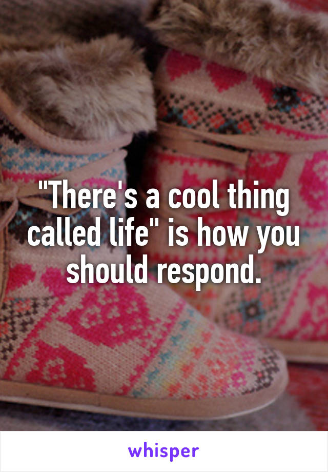 "There's a cool thing called life" is how you should respond.