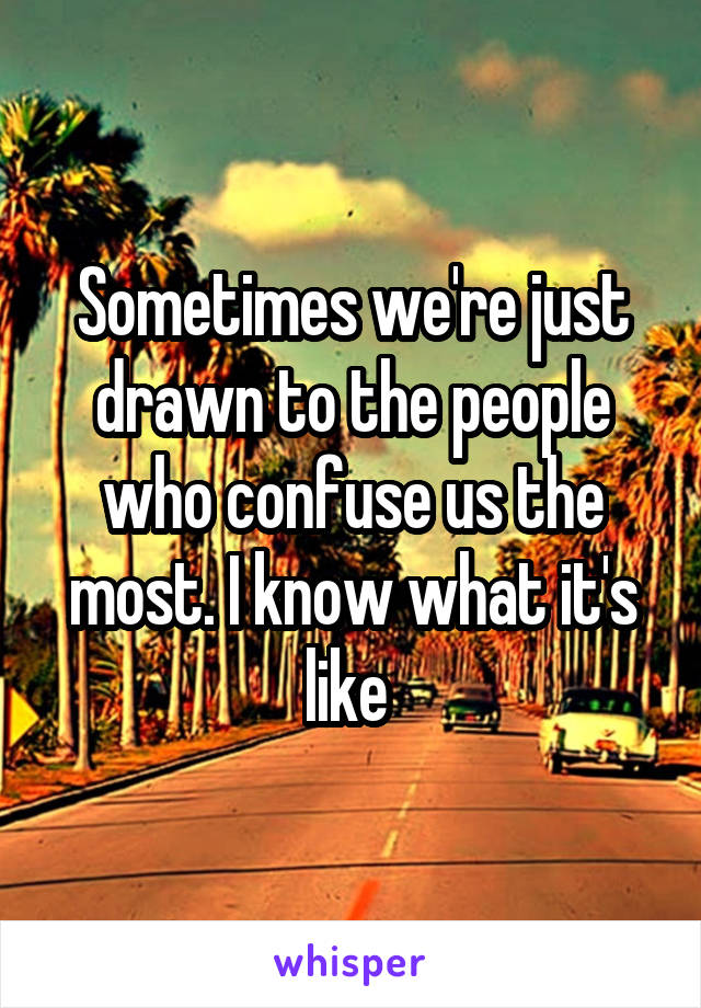 Sometimes we're just drawn to the people who confuse us the most. I know what it's like 