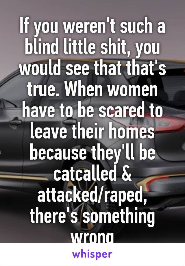 If you weren't such a blind little shit, you would see that that's true. When women have to be scared to leave their homes because they'll be catcalled & attacked/raped, there's something wrong