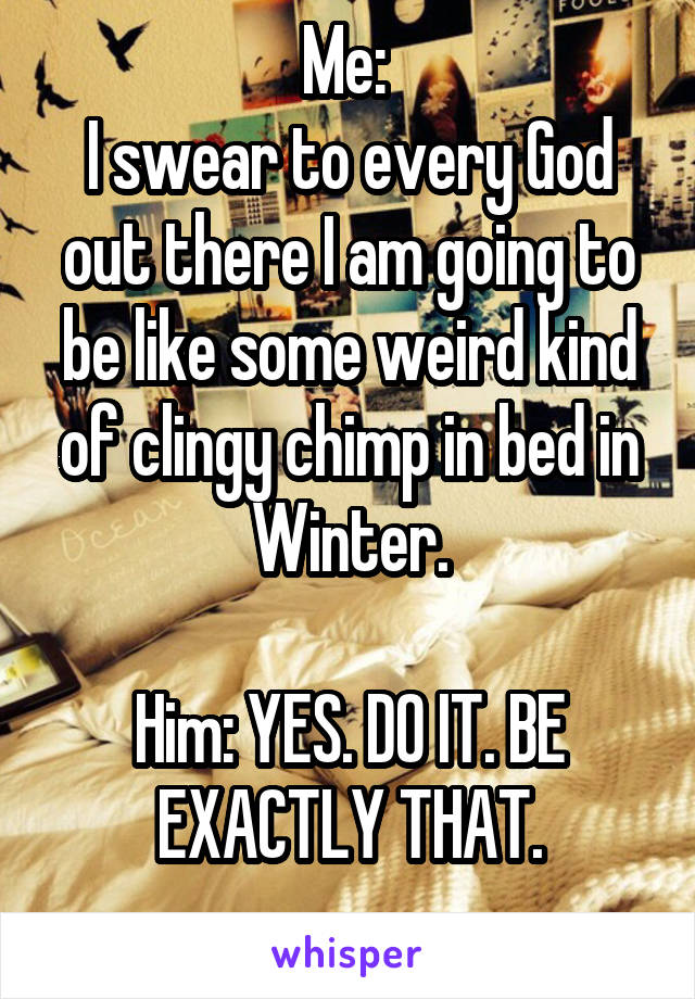 Me: 
I swear to every God out there I am going to be like some weird kind of clingy chimp in bed in Winter.

Him: YES. DO IT. BE EXACTLY THAT.
