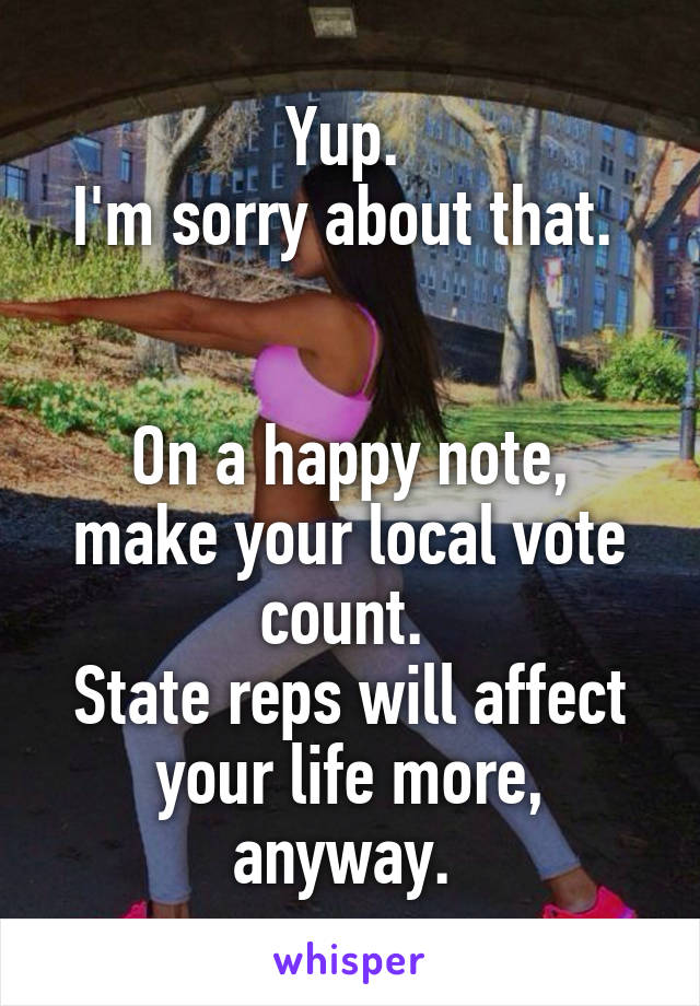 Yup. 
I'm sorry about that. 


On a happy note, make your local vote count. 
State reps will affect your life more, anyway. 