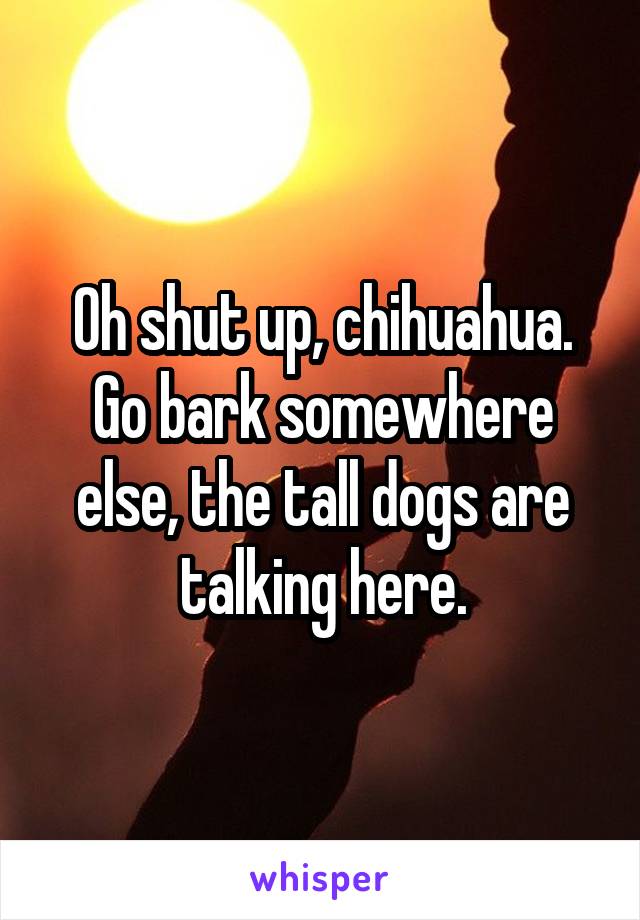 Oh shut up, chihuahua. Go bark somewhere else, the tall dogs are talking here.