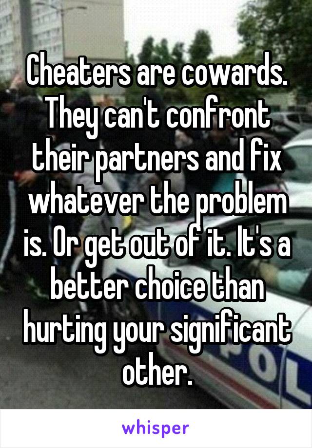 Cheaters are cowards. They can't confront their partners and fix whatever the problem is. Or get out of it. It's a better choice than hurting your significant other.