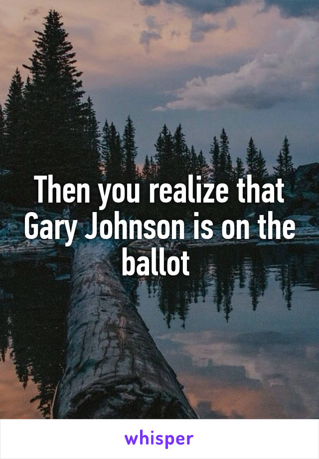 Then you realize that Gary Johnson is on the ballot 
