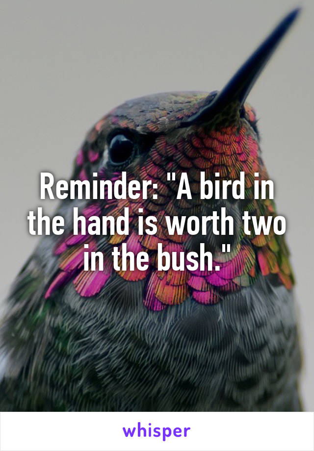 Reminder: "A bird in the hand is worth two in the bush."