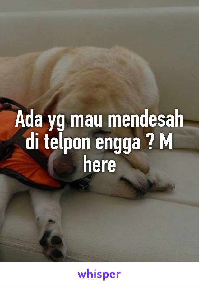 Ada yg mau mendesah di telpon engga ? M here