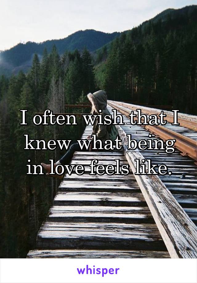 I often wish that I knew what being in love feels like.