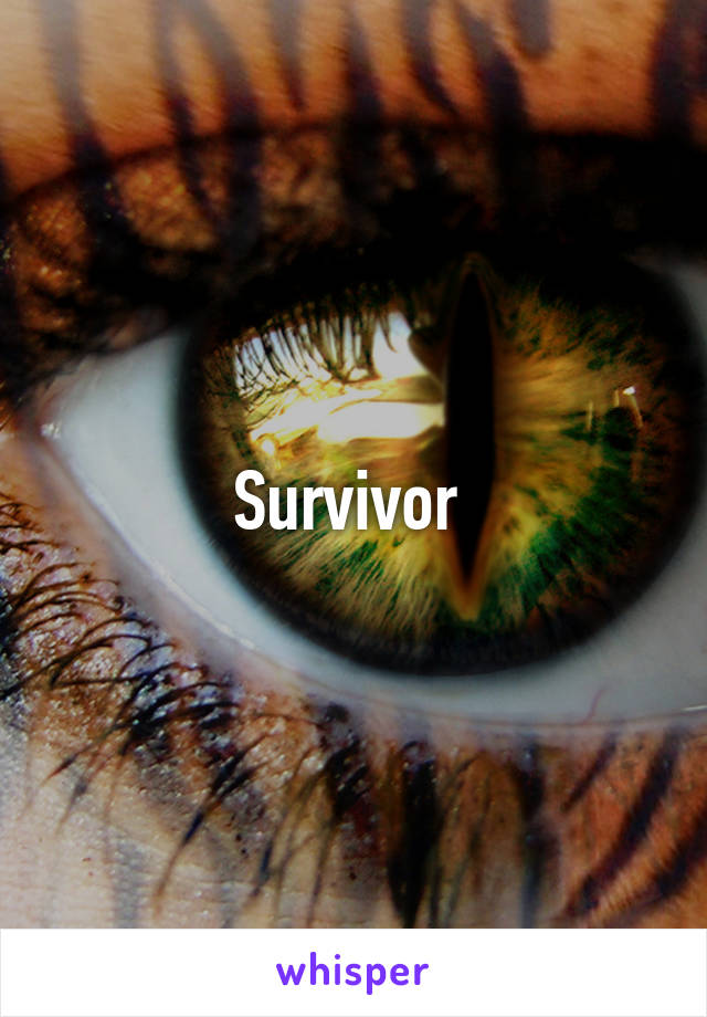 Survivor 