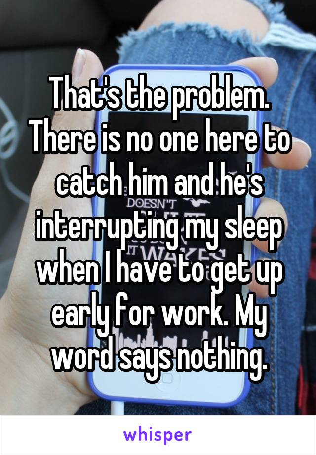 That's the problem. There is no one here to catch him and he's interrupting my sleep when I have to get up early for work. My word says nothing.