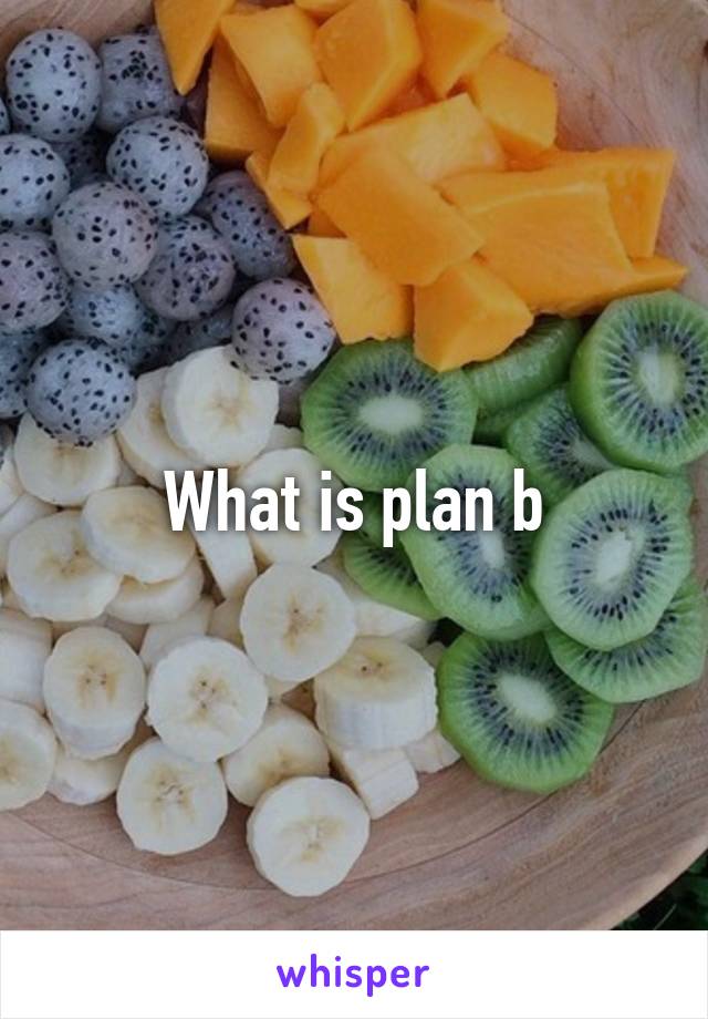 What is plan b