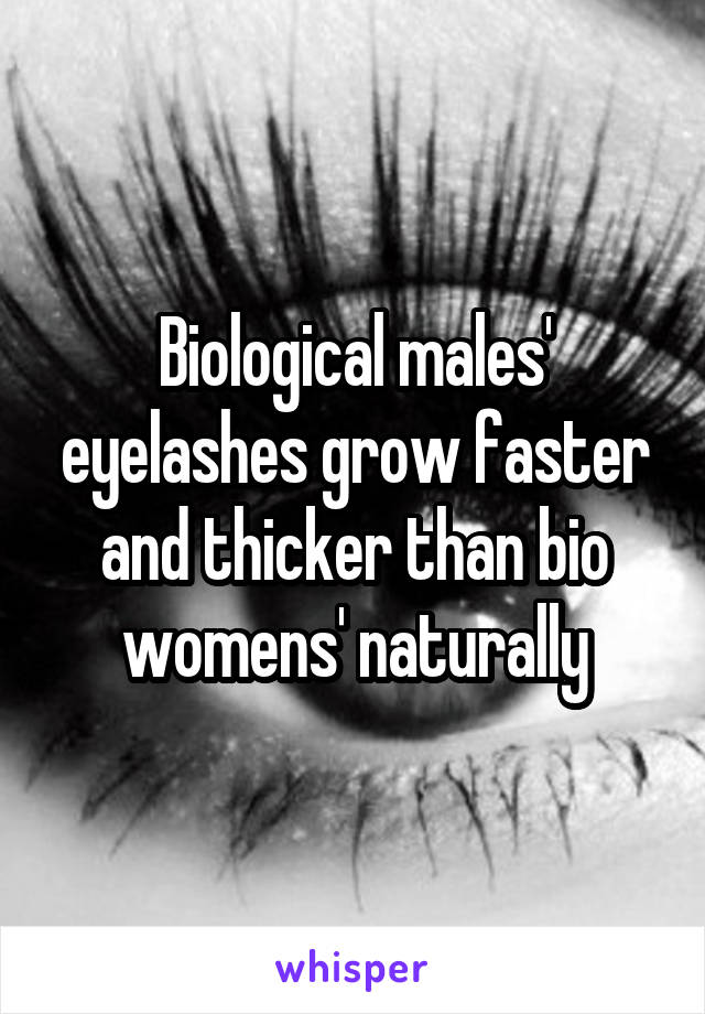 Biological males' eyelashes grow faster and thicker than bio womens' naturally