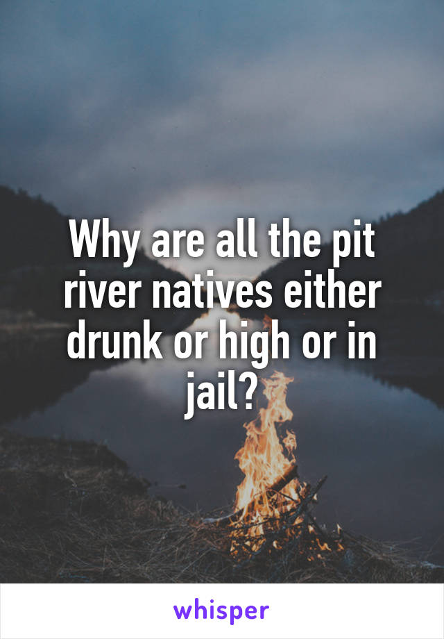 Why are all the pit river natives either drunk or high or in jail?