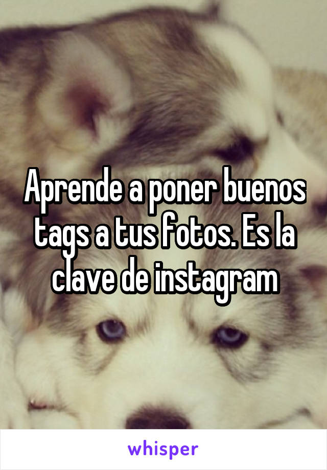 Aprende a poner buenos tags a tus fotos. Es la clave de instagram