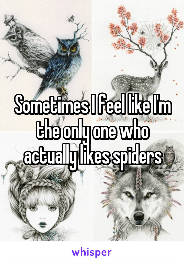 Sometimes I feel like I'm the only one who actually likes spiders