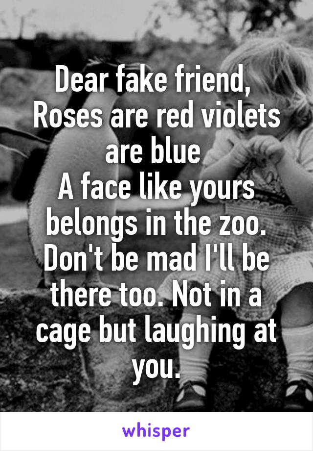 Dear fake friend, 
Roses are red violets are blue 
A face like yours belongs in the zoo. Don't be mad I'll be there too. Not in a cage but laughing at you.