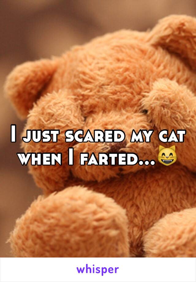 I just scared my cat when I farted...😸