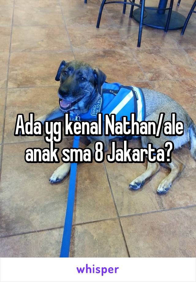 Ada yg kenal Nathan/ale anak sma 8 Jakarta?