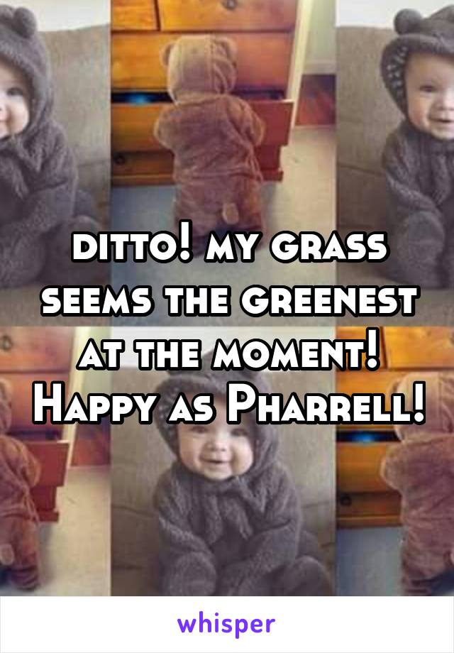 ditto! my grass seems the greenest at the moment! Happy as Pharrell!