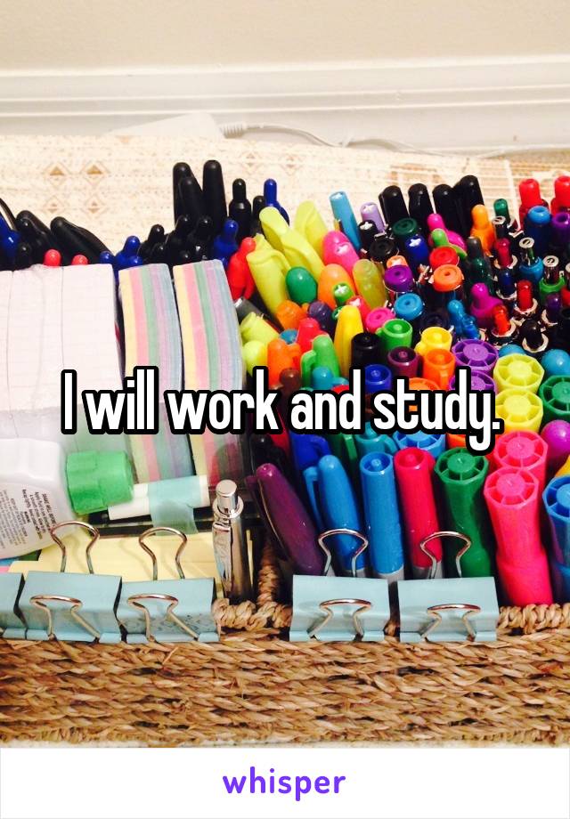 I will work and study. 