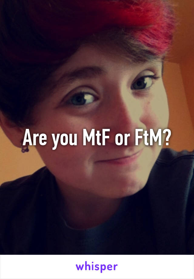 Are you MtF or FtM?