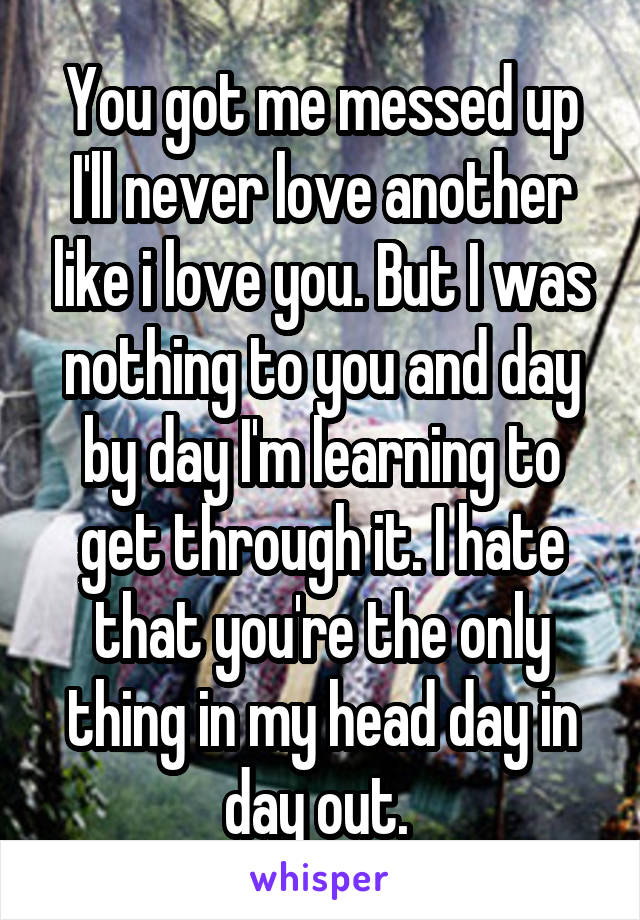 You got me messed up I'll never love another like i love you. But I was nothing to you and day by day I'm learning to get through it. I hate that you're the only thing in my head day in day out. 