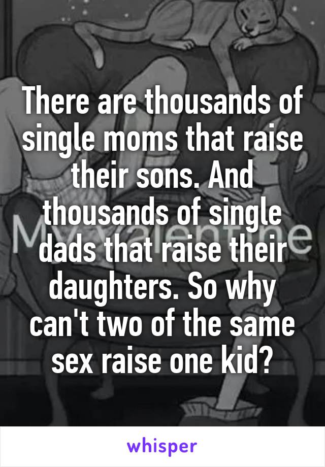 There are thousands of single moms that raise their sons. And thousands of single dads that raise their daughters. So why can't two of the same sex raise one kid?