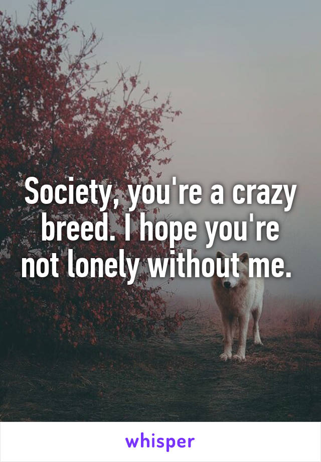 Society, you're a crazy breed. I hope you're not lonely without me. 