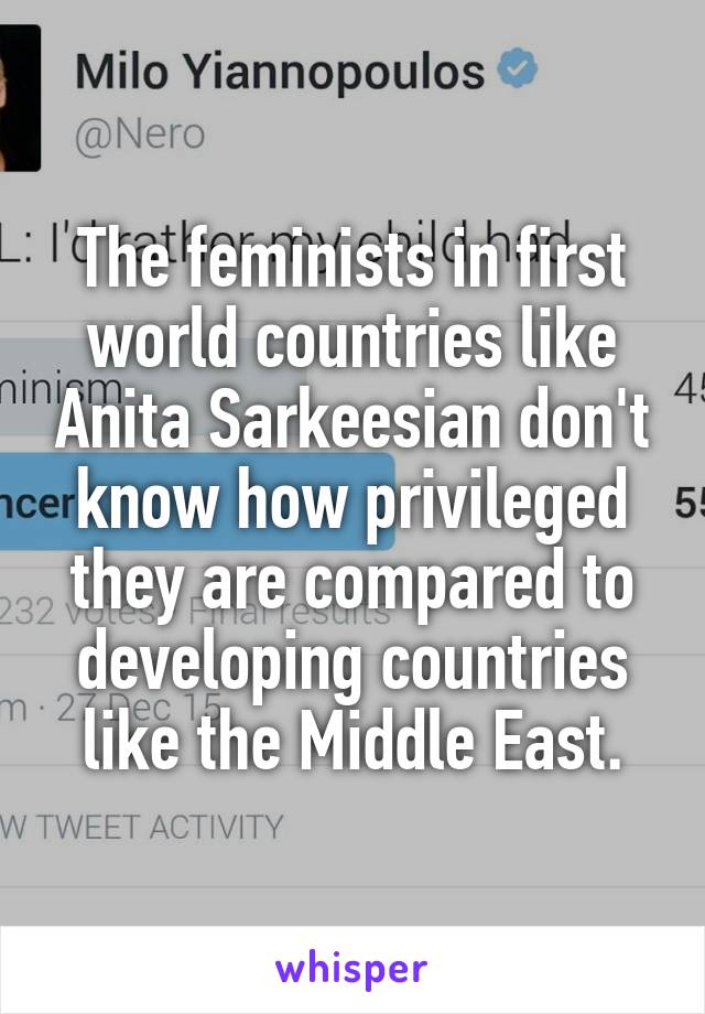 The feminists in first world countries like Anita Sarkeesian don't know how privileged they are compared to developing countries like the Middle East.