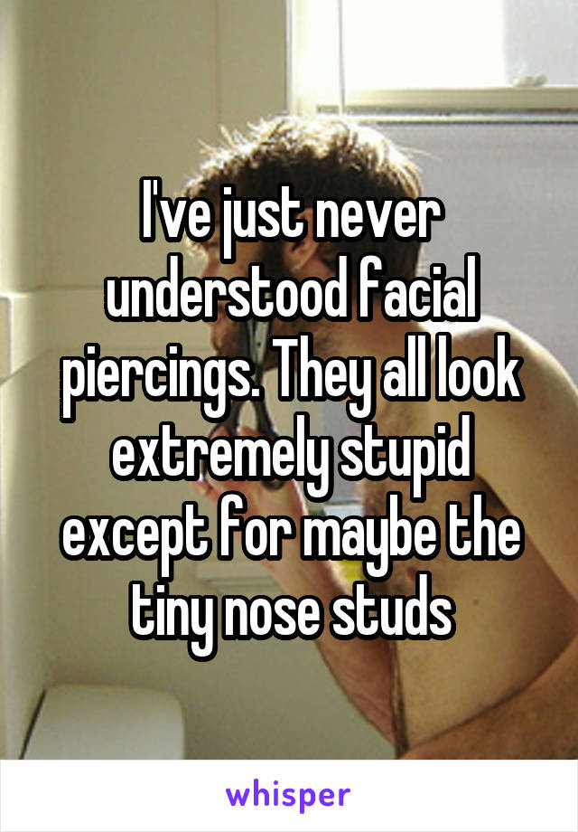 I've just never understood facial piercings. They all look extremely stupid except for maybe the tiny nose studs