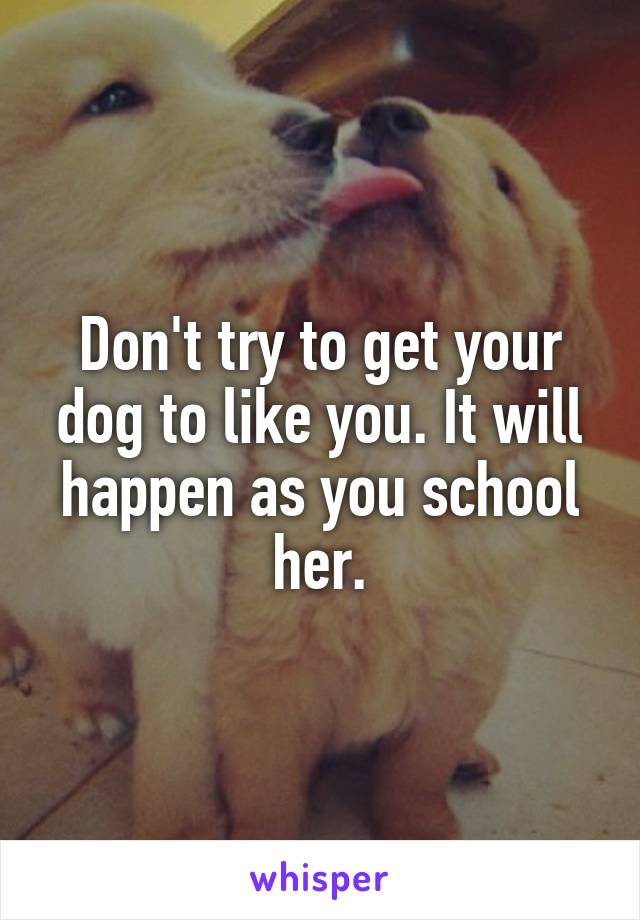 Don't try to get your dog to like you. It will happen as you school her.