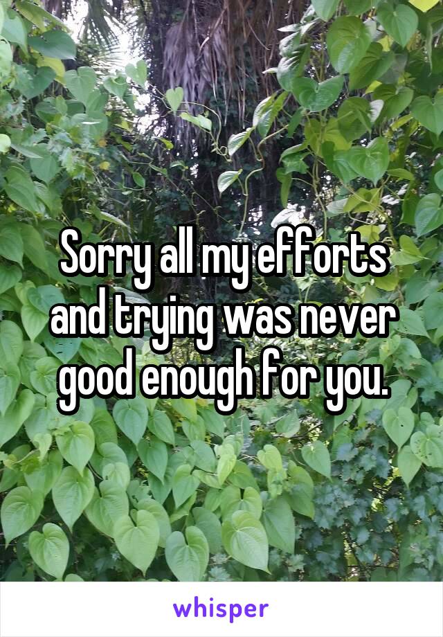 Sorry all my efforts and trying was never good enough for you.