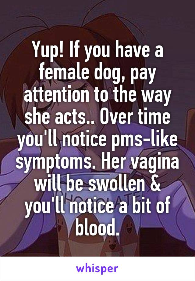 Yup! If you have a female dog, pay attention to the way she acts.. Over time you'll notice pms-like symptoms. Her vagina will be swollen & you'll notice a bit of blood.