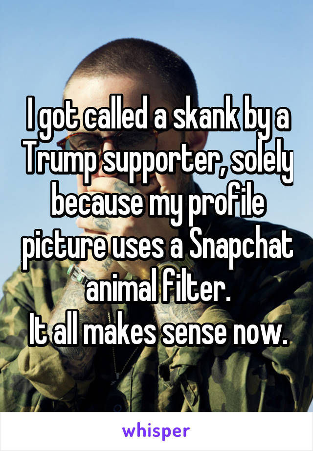 I got called a skank by a Trump supporter, solely because my profile picture uses a Snapchat animal filter.
It all makes sense now.