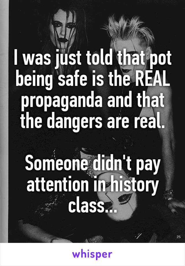 I was just told that pot being safe is the REAL propaganda and that the dangers are real.

Someone didn't pay attention in history class...