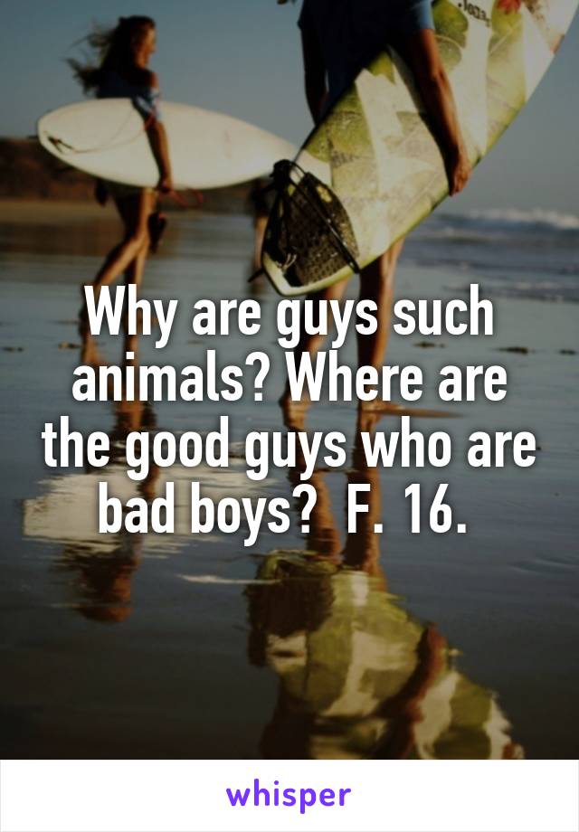 Why are guys such animals? Where are the good guys who are bad boys?  F. 16. 