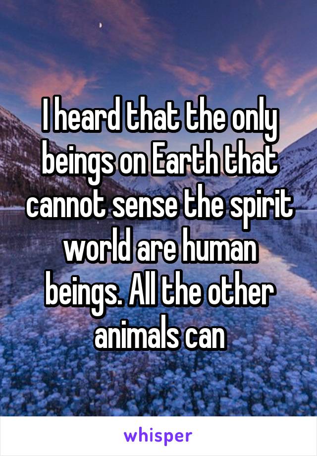 I heard that the only beings on Earth that cannot sense the spirit world are human beings. All the other animals can