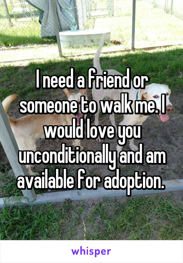 I need a friend or someone to walk me. I would love you unconditionally and am available for adoption. 