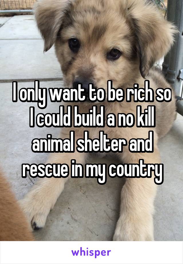 I only want to be rich so I could build a no kill animal shelter and rescue in my country