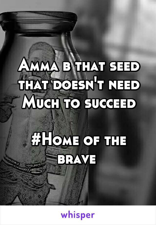 Amma b that seed that doesn't need
Much to succeed
 
#Home of the brave 