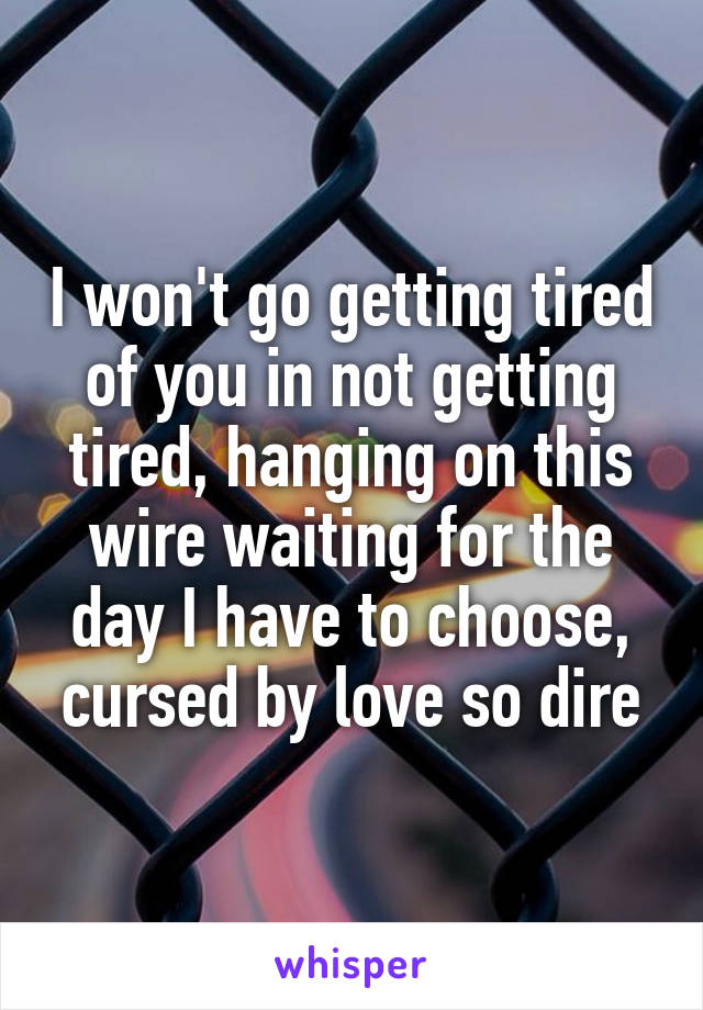 I won't go getting tired of you in not getting tired, hanging on this wire waiting for the day I have to choose, cursed by love so dire