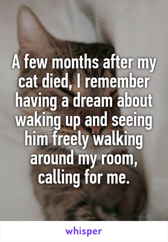 A few months after my cat died, I remember having a dream about waking up and seeing him freely walking around my room, calling for me.