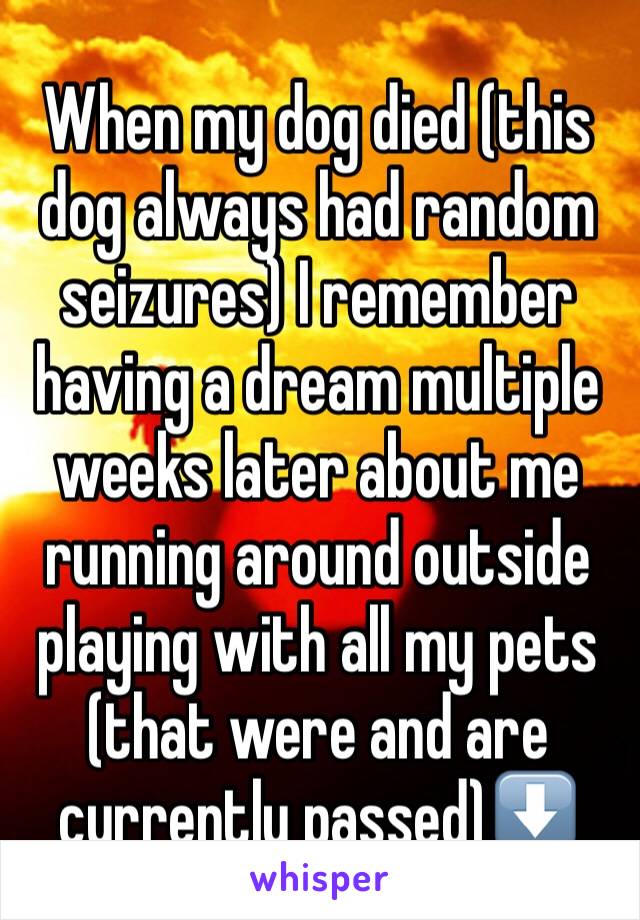 When my dog died (this dog always had random seizures) I remember having a dream multiple weeks later about me running around outside playing with all my pets (that were and are currently passed)⬇️