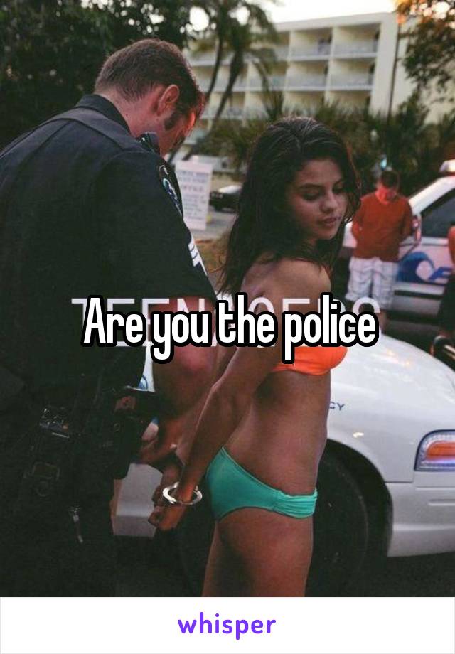 Are you the police