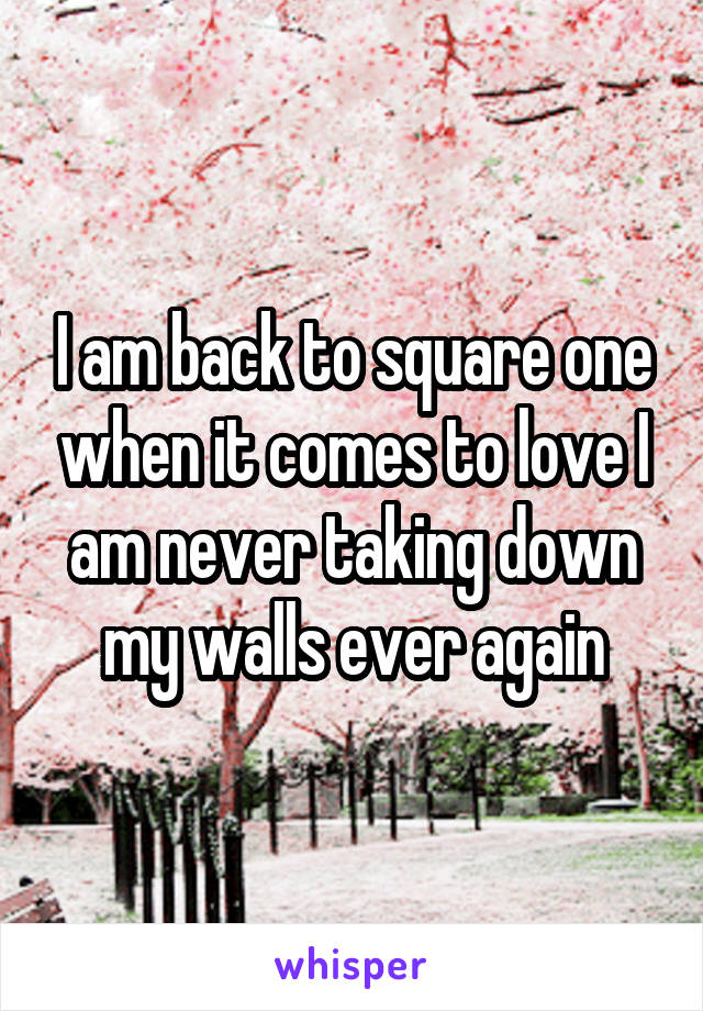 I am back to square one when it comes to love I am never taking down my walls ever again